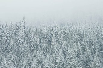 Nordic Blog